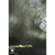 Lensbaby Composer Pro II: Picture 4 thumbnail
