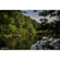Lensbaby Composer Pro II Edge 50: Picture 3 thumbnail