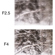 Lensbaby Composer Pro II: Picture 11 thumbnail