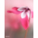 Lensbaby Composer Pro II: Picture 21 thumbnail