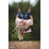 Lensbaby Composer Pro II: Picture 4 thumbnail