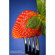 Lensbaby LBMC: Picture 3 thumbnail
