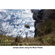 Lensbaby Muse Plastic for Nikon F mount SLR's: Picture 5 thumbnail