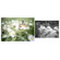 Lensbaby Obscura 16mm Pancake Lens: Picture 1 thumbnail