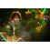 Lensbaby OMNI Creative Filter: Picture 6 thumbnail