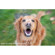 Lensbaby Sweet 35: Picture 2 thumbnail
