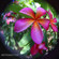 Lensbaby Scout: Picture 5 thumbnail