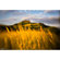 Lensbaby Spark 2.0: Picture 3 thumbnail