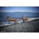 Lensbaby Trio 28 28mm f/3.5 Lens: Picture 3 thumbnail