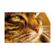 Lensbaby Velvet 56: Picture 4 thumbnail