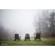 Lensbaby Velvet 56: Picture 26 thumbnail