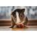 Lensbaby Velvet 56: Picture 27 thumbnail