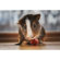 Lensbaby Velvet 56: Picture 5 thumbnail