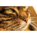 Lensbaby Velvet 56: Picture 6 thumbnail