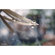 Lensbaby Velvet 56: Picture 9 thumbnail