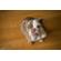 Lensbaby Velvet 56: Picture 3 thumbnail