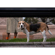 Leica SL 28-70MM F/2.8: Picture 17 thumbnail