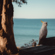 Leica SL 28-70MM F/2.8: Picture 20 thumbnail