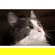 Leica SL 28-70MM F/2.8: Picture 31 thumbnail