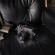 Leica M EV1: Picture 15 thumbnail