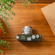 Leica M11-P Safari Edition: Picture 11 thumbnail