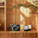 Leica M11-P Safari Edition: Picture 19 thumbnail