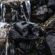 Leica Geovid Pro: Picture 2 thumbnail
