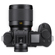 Leica Summilux-SL 50 f/1.4: Picture 6 thumbnail