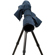undefined undefined: Picture 1 regular