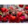 Leica Vario-Elmar-SL 100-400mm: Picture 17 thumbnail