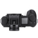 Leica SL3-P: Picture 6 thumbnail