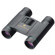 Leupold 10x25 Olympic Green Ring, Water Proof Roof Prism Binocular with 5.0 Degree Angle of View, Black, U.S.A.: Picture 2 thumbnail