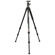 Leupold Tripod Kit: Picture 2 thumbnail