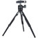 Leofoto MT-03+LH-25: Picture 2 thumbnail