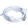 Lex Extension Cord: Picture 1 thumbnail