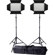 Ledgo Pro Series Bi-Color AC/DC Sony LED...: Picture 4 thumbnail