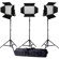 Ledgo Pro Series Bi-Color AC/DC Sony LED...: Picture 4 thumbnail
