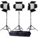 Ledgo Pro Series Daylight AC/DC Sony LED...: Picture 4 thumbnail