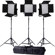 Ledgo Sony LED Panel Light Kit: Picture 4 thumbnail