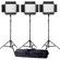 Ledgo Sony LED Panel Light Kit: Picture 3 thumbnail