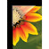 Lineco 1/2" Archival Polyester Mounting ...: Picture 1 thumbnail