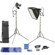 Lowel Rifa eX Pro 44 Kit, Quartz Softlight Outfit with TO-83 Hard Case: Picture 3 thumbnail