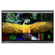 Lilliput Q31: Picture 1 thumbnail