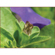 Yasuhara Nanoha Auto Extension Tube Set ...: Picture 3 thumbnail