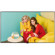 undefined undefined: Picture 1 regular