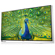 LG 65UB9800: Picture 1 thumbnail