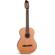 Godin Etude: Picture 5 thumbnail
