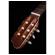 Godin Etude: Picture 2 thumbnail