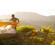 Lowepro PhotoSport PRO 70L: Picture 31 thumbnail