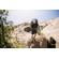 Lowepro PhotoSport PRO 70L: Picture 34 thumbnail